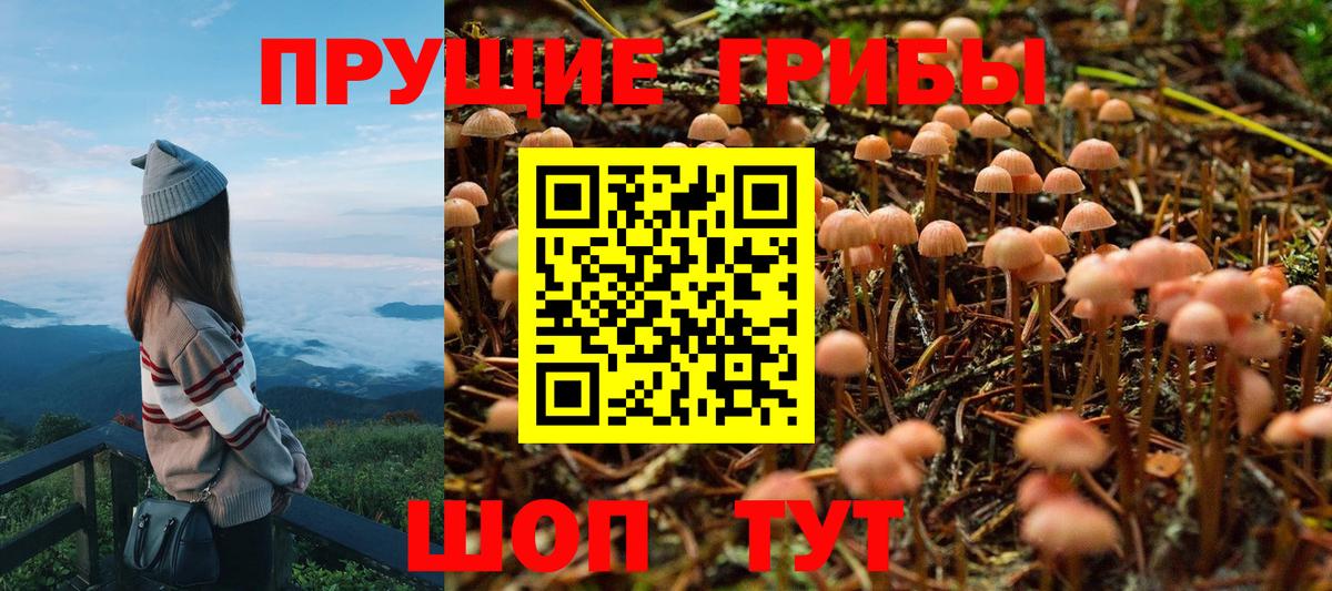 Галлюциногенные грибы MAGIC MUSHROOMS Красный Сулин